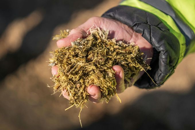 Una persona con una chaqueta verde y pantalones cargo color canela está de pie en un sendero boscoso.