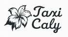 Logo pour Taxi Caly : Graphique floral à côté du texte Taxi Caly en cursive.