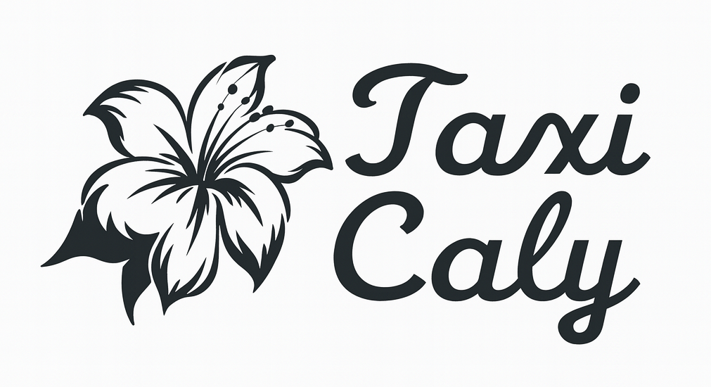 Logo pour Taxi Caly : Graphique floral à côté du texte Taxi Caly en cursive.