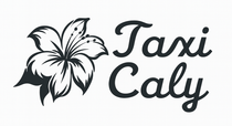 Logo pour Taxi Caly : Graphique floral à côté du texte Taxi Caly en cursive.