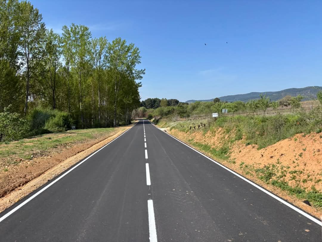 Un camino con árboles a ambos lados y un cielo azul al fondo.
