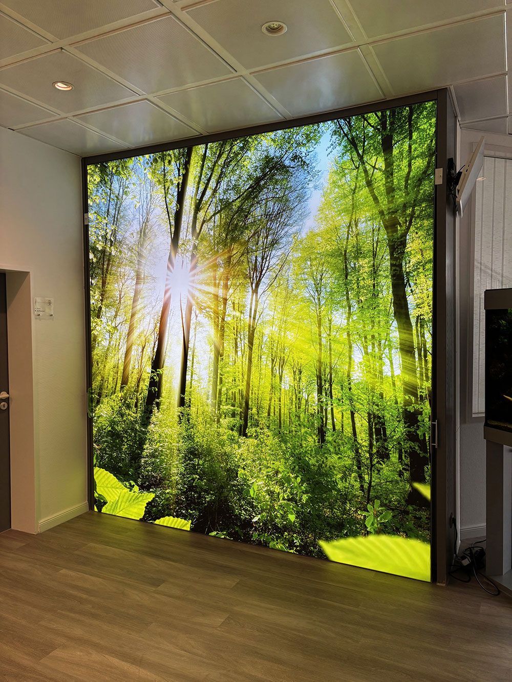 Ein großes Bild eines Waldes, durch dessen Bäume die Sonne scheint.