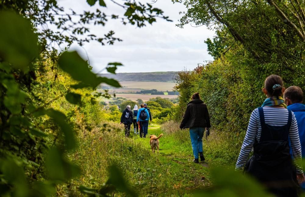 People hiking on a grassy path with a dog; fields and cloudy sky in the background, surrounded by lush green foliage.