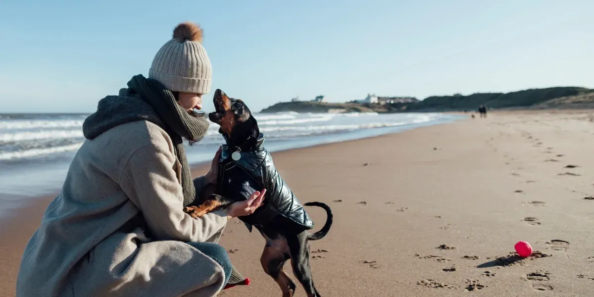 Woman with a dog on a sandy beach on a sunny day. The dog is wearing a jacket and standing on its hind legs.