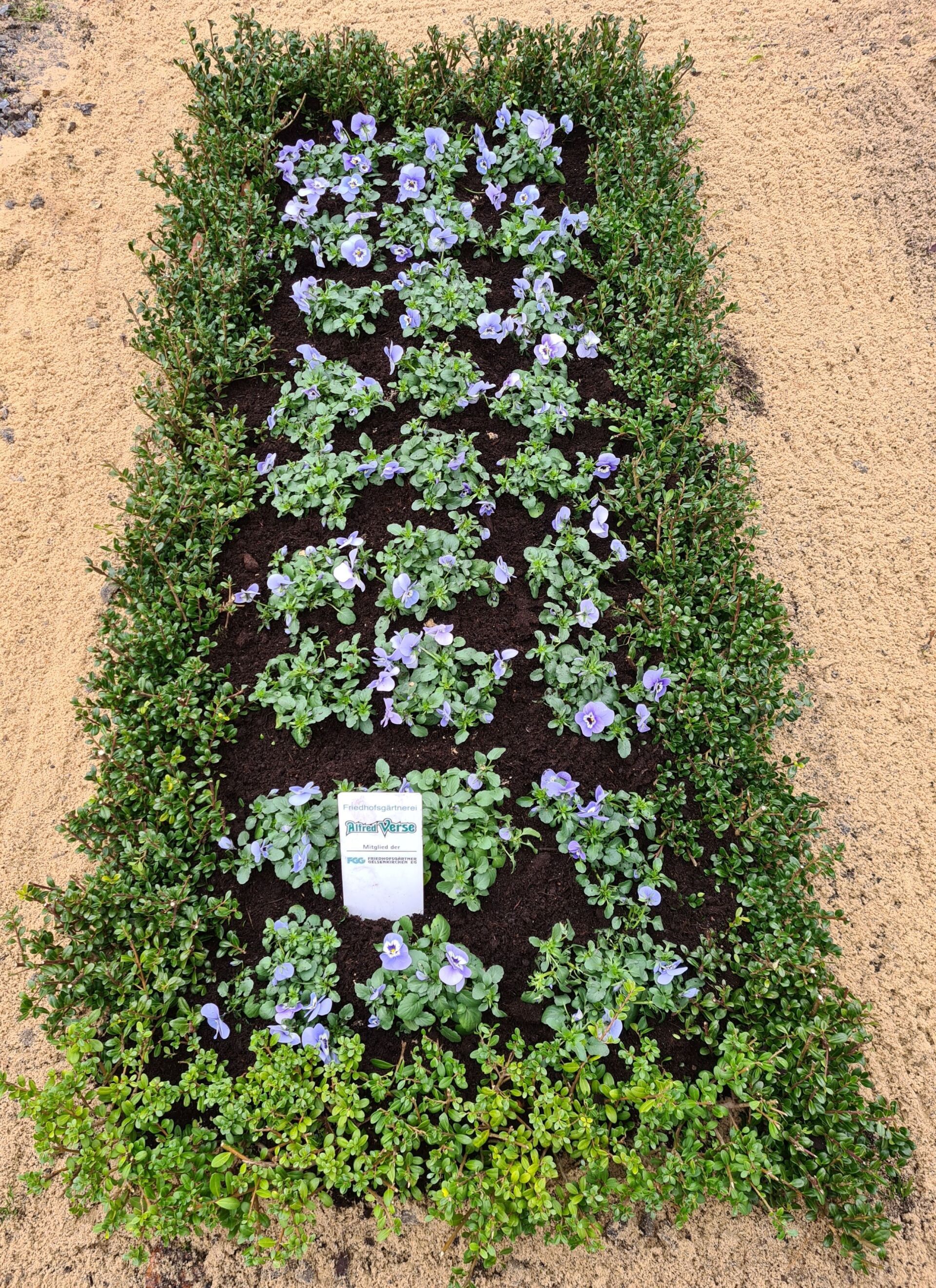 alt-Alfred Verse Friedhofsgärtnerei