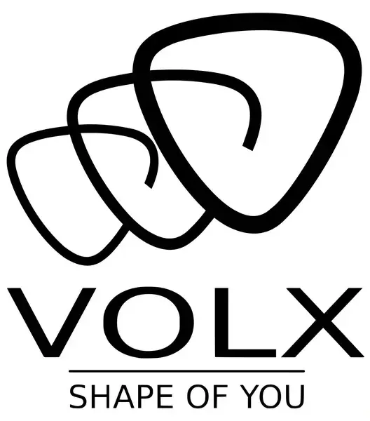 Logo Volx