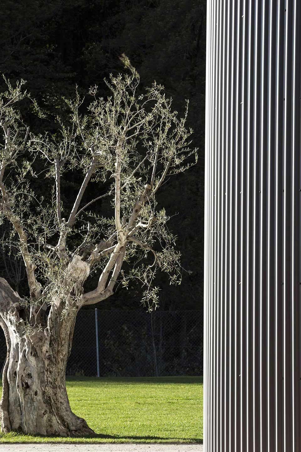 Centro R.A. Cadro - Sergio Calori