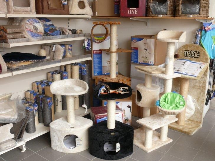 Ein Katzenbaum in einem Geschäft, auf dem Trixie steht