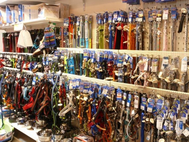 Ein Laden voller Halsbänder und Leinen