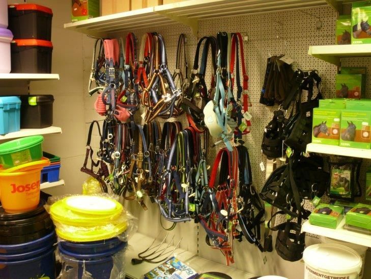 Ein Bündel Zaumzeug hängt an einer Wand in einem Geschäft