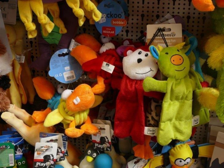 Eine Ausstellung von ausgestopften Tieren, darunter ein grünes Schwein