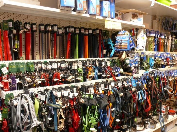 Ein Ladenregal voller Halsbänder und Leinen