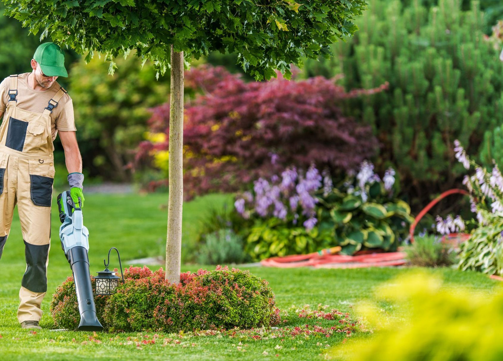 Homme tient un outil de jardinage