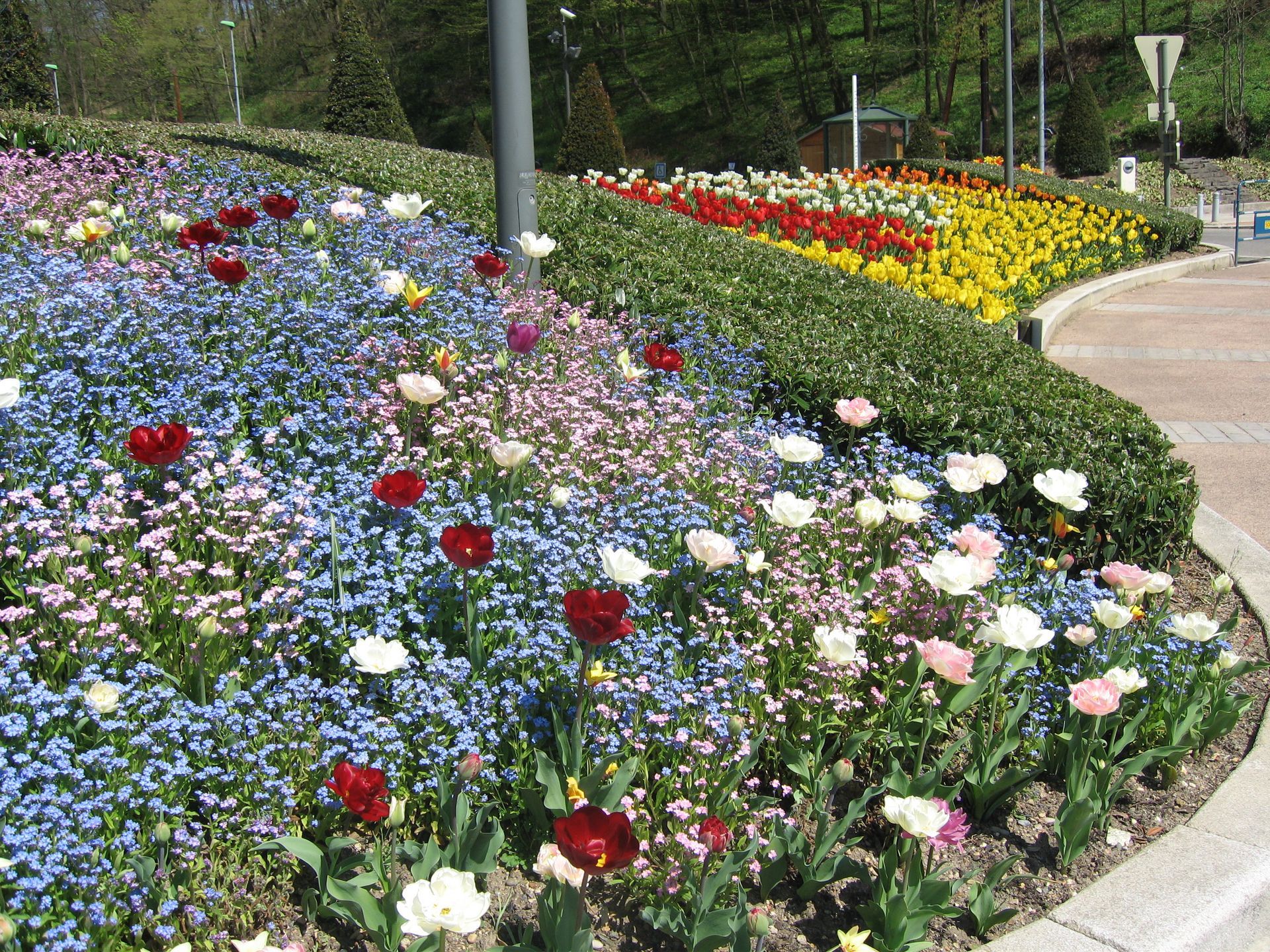 Pavé de fleurs multicolores