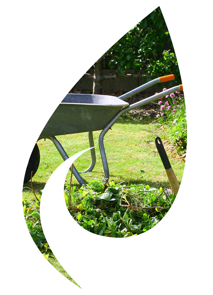 Photo de déchets verts sous une forme de feuille