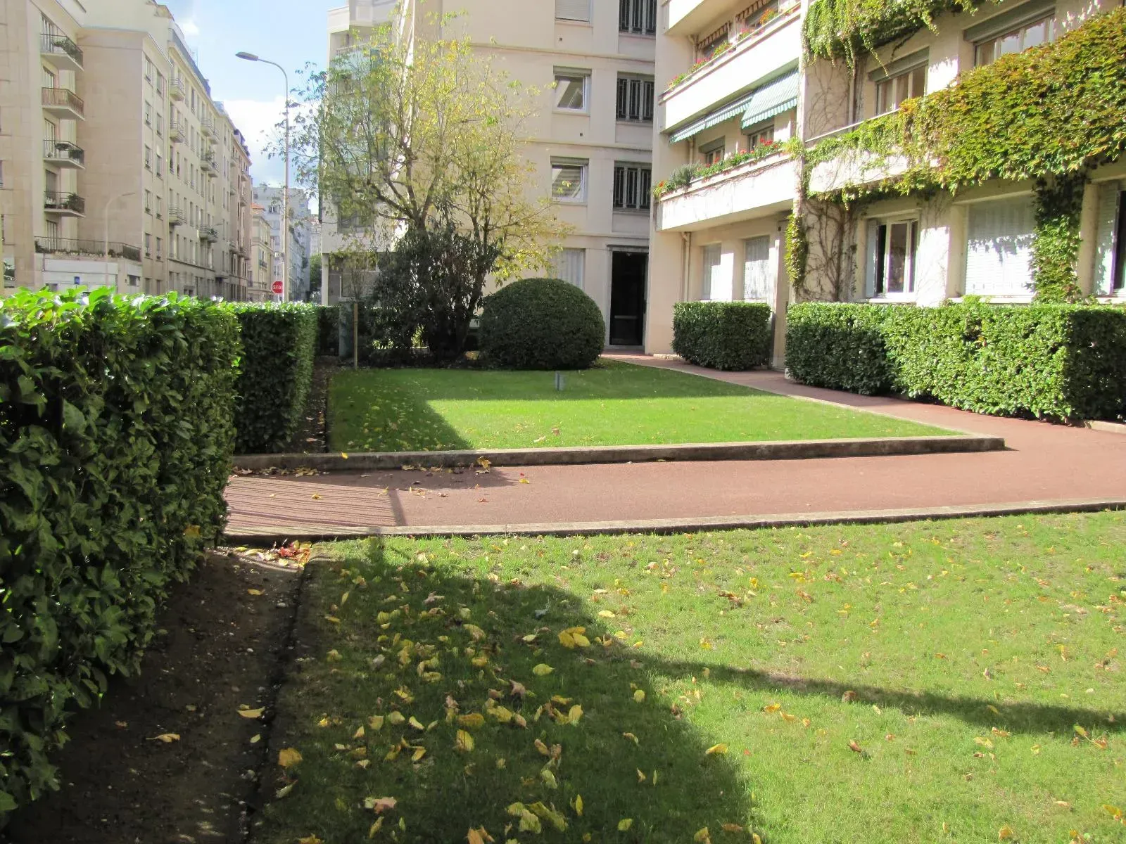 Haies bien taillées