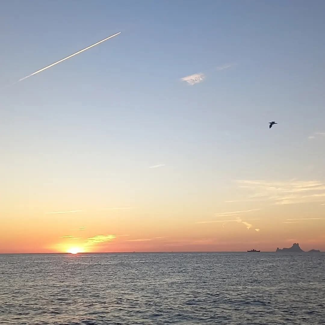 A golden sunset over the ocean with a distant island on the horizon, a single bird in flight, and a faint jet contrail.
