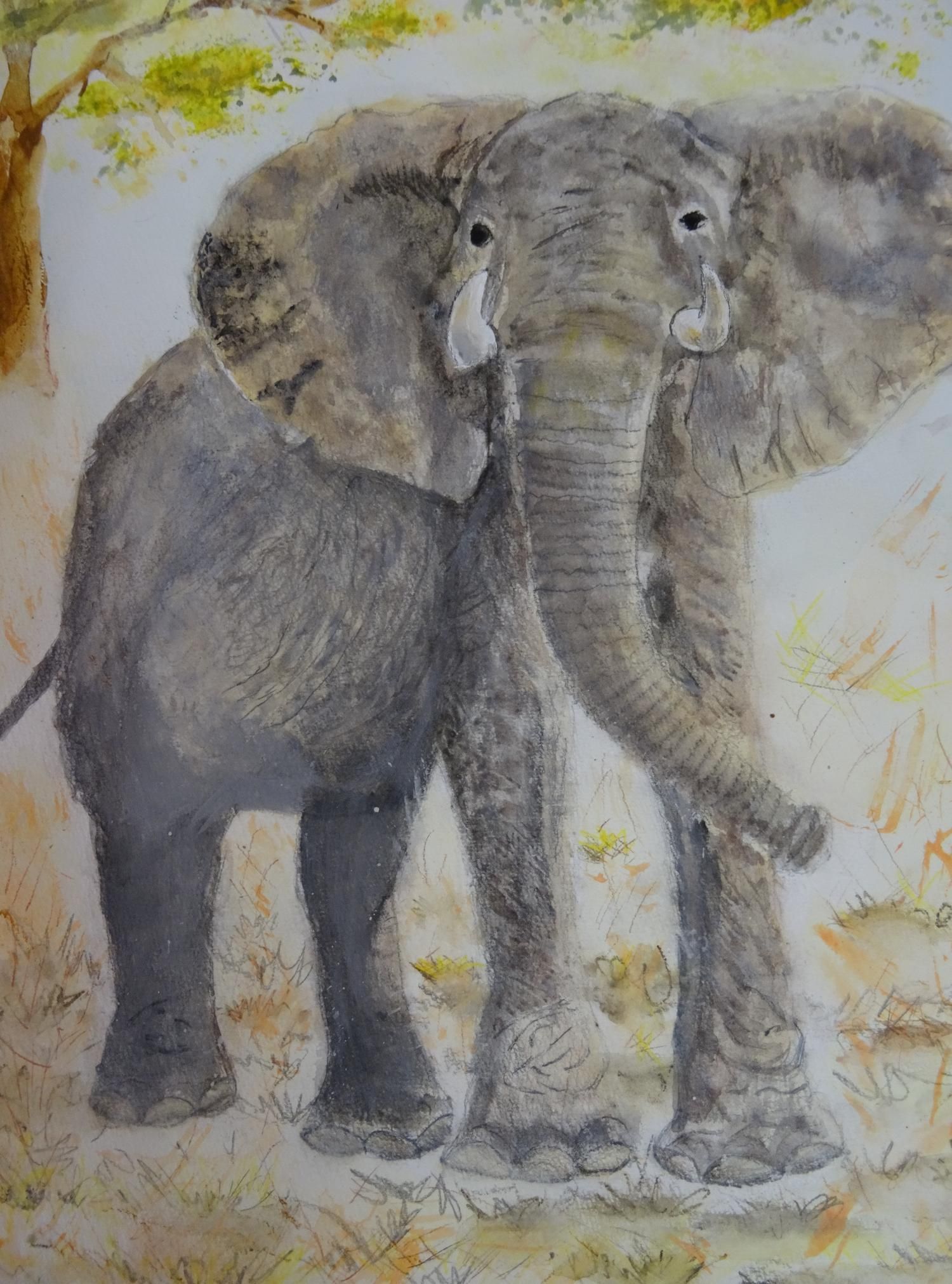 atelier dessin&peinture