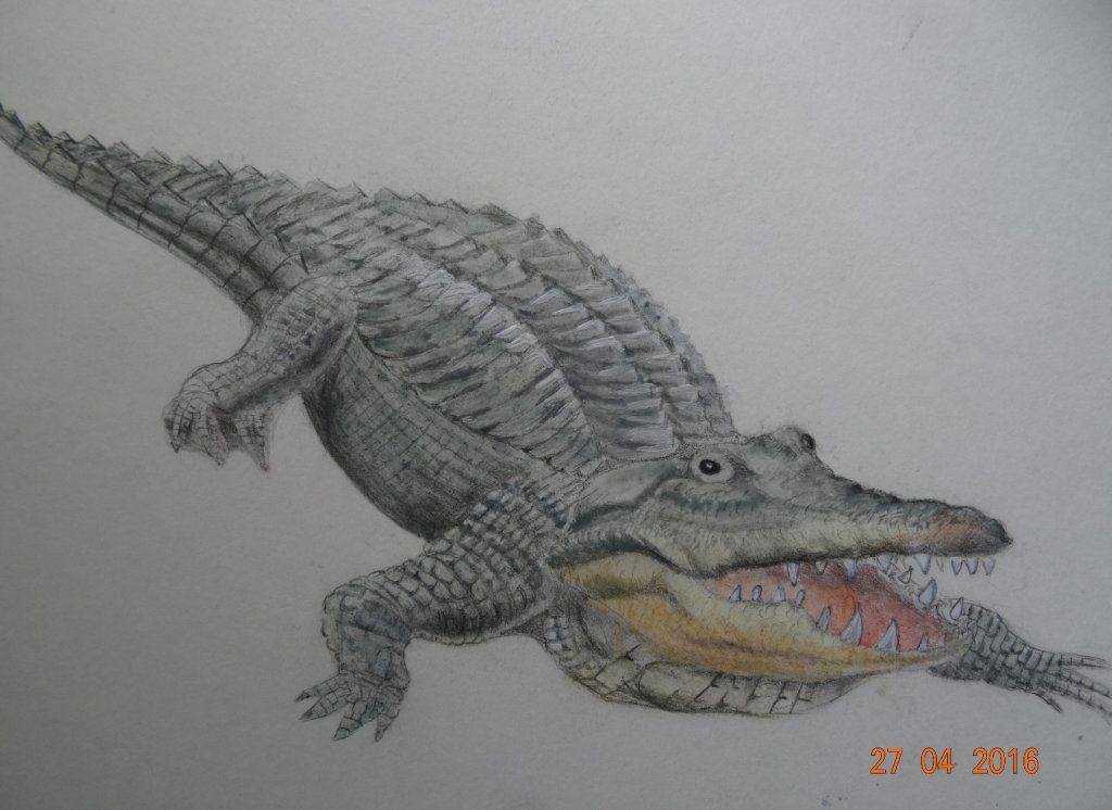 atelier dessin&peinture