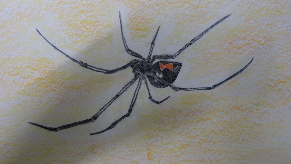 atelier dessin&peinture