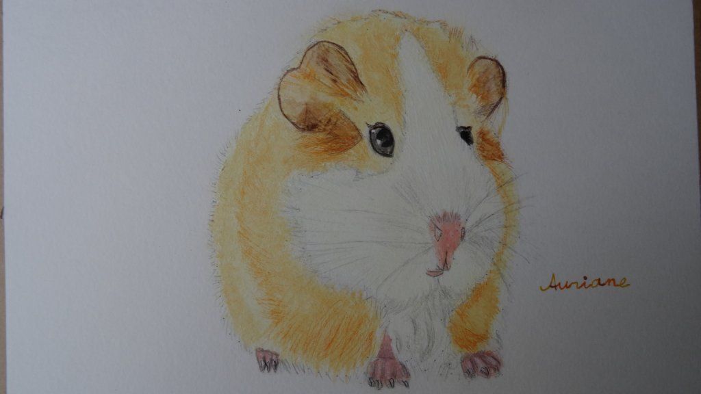 atelier dessin&peinture