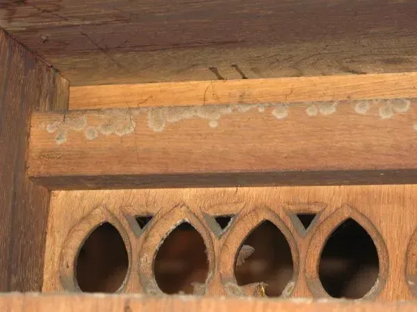 St. Josef, Restaurierungswerkstatt Jörg Nowack und Partner