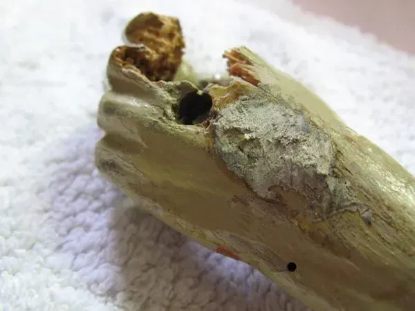 Vortragekreuz, Restaurierungswerkstatt Jörg Nowack und Partner