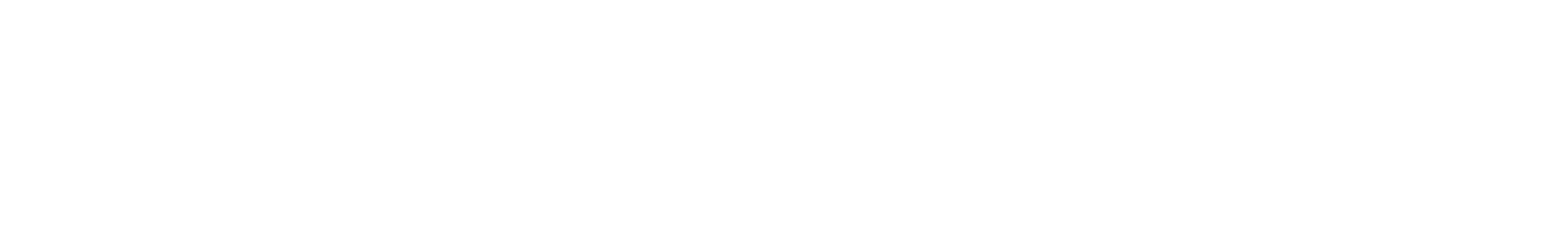 Nicolai Logo