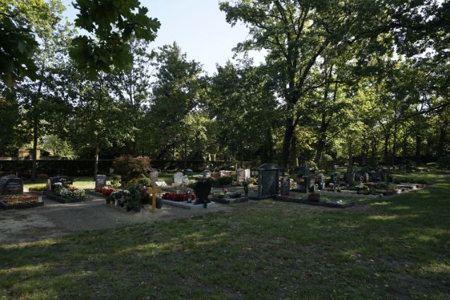 von Bäumen gesäumter Friedhof