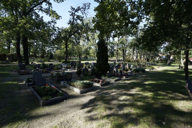 mit Blumen geschmückte Gräber auf Friedhof