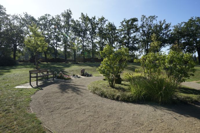 Friedhof „Vor dem Jüterboger Tor“ Rasen- und Baumfläche