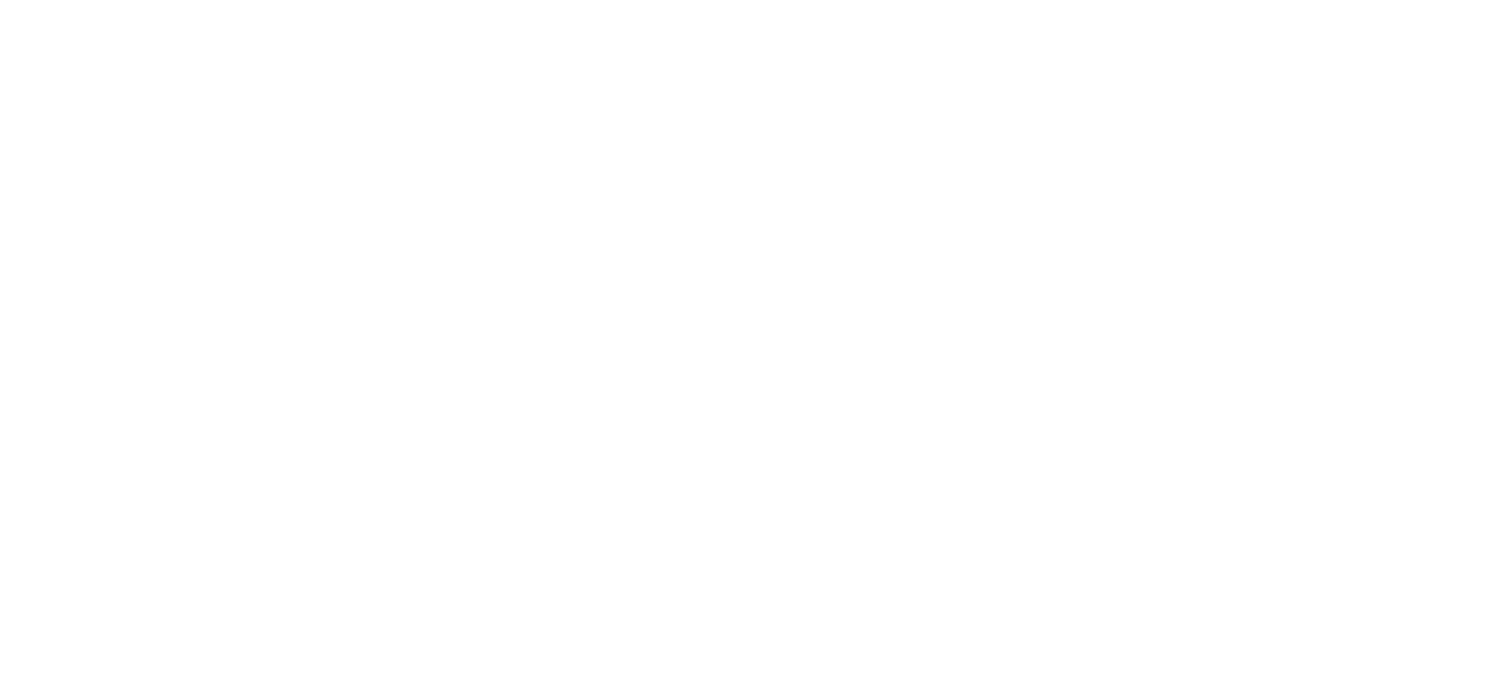 bwild logo grenouille