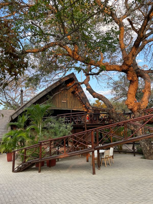 Cabane en bois au toit de chaume, entourée d'arbres et d'une rampe.