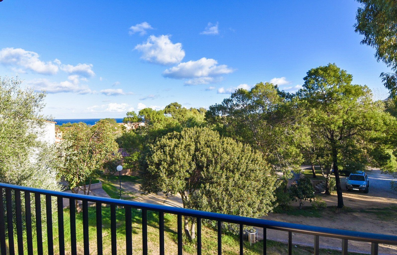 Vue d'arbes autour de la résidence