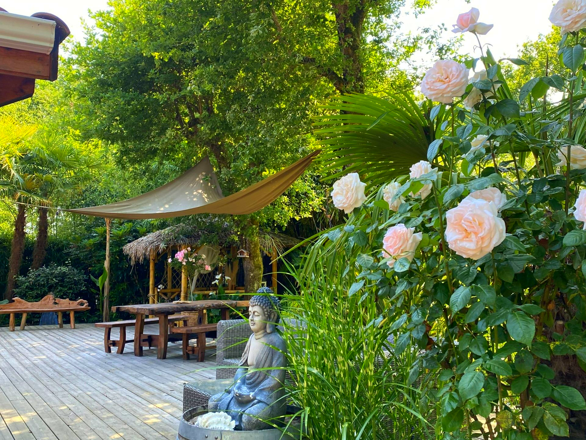 Terrasse, statue zen et rosier