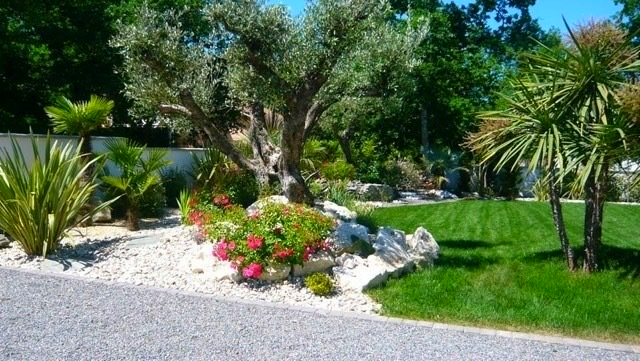 arbre herbe rocaille mediterranéenne