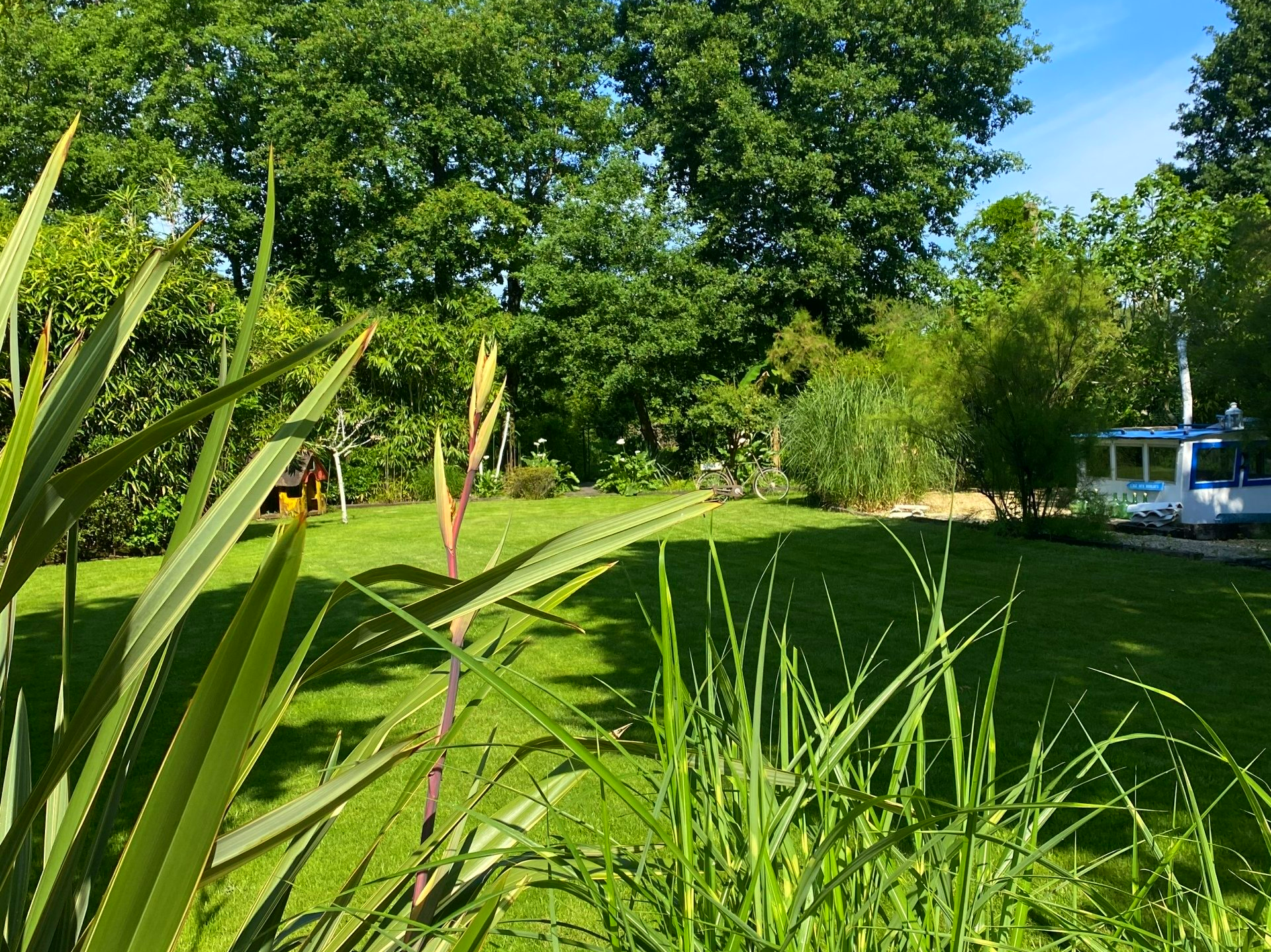 Herbe et cabane bleue