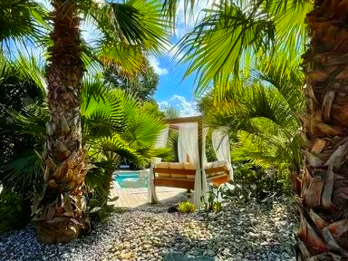 Rocaille, palmiers et piscine