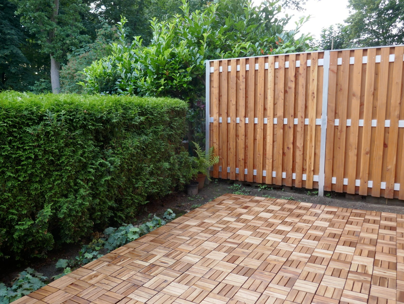 Cloture devant haie et allée