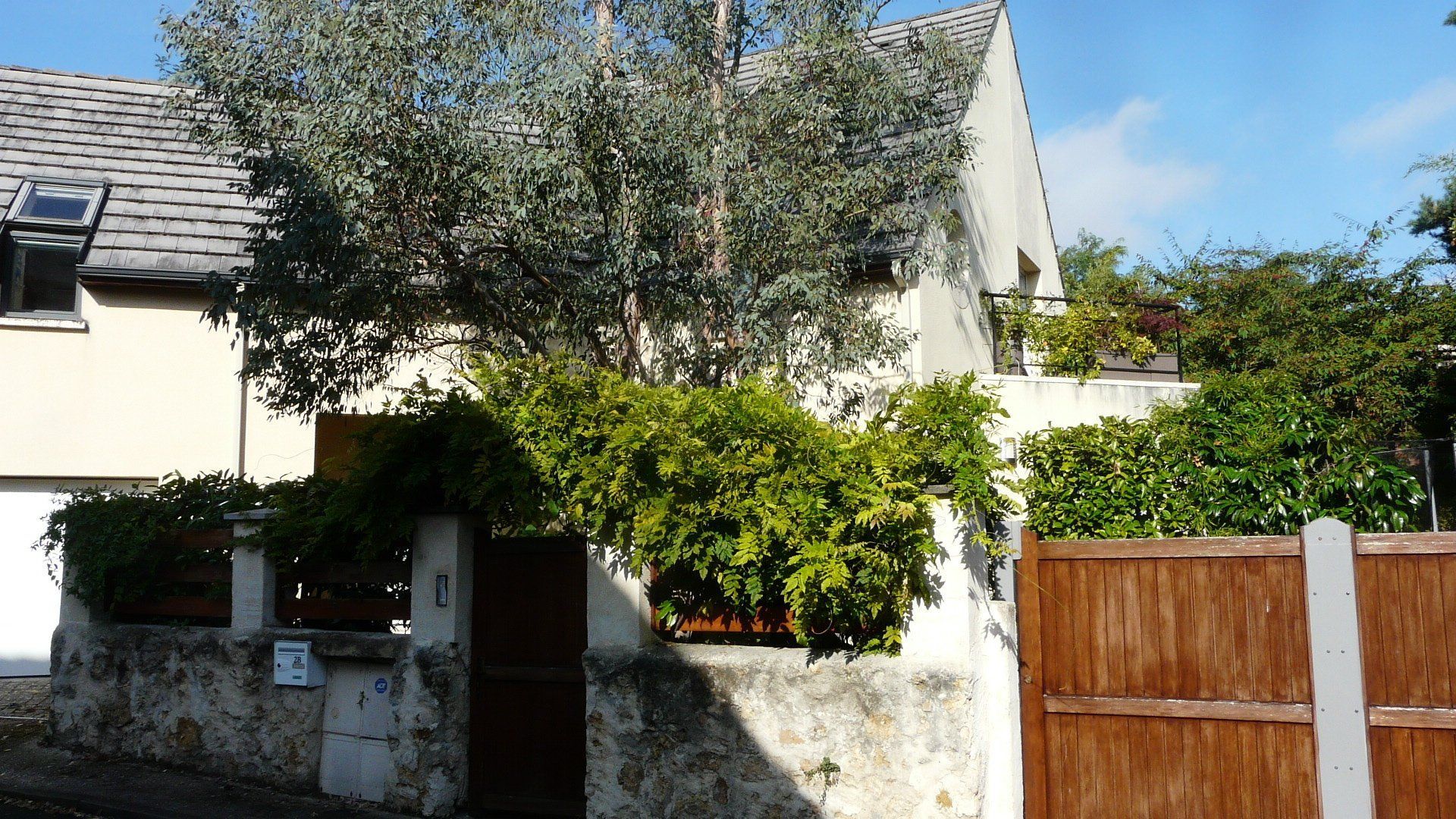Cour avant ensoleillée avec maison blanche, arbre feuillu et portail en bois à côté d'un mur ombragé