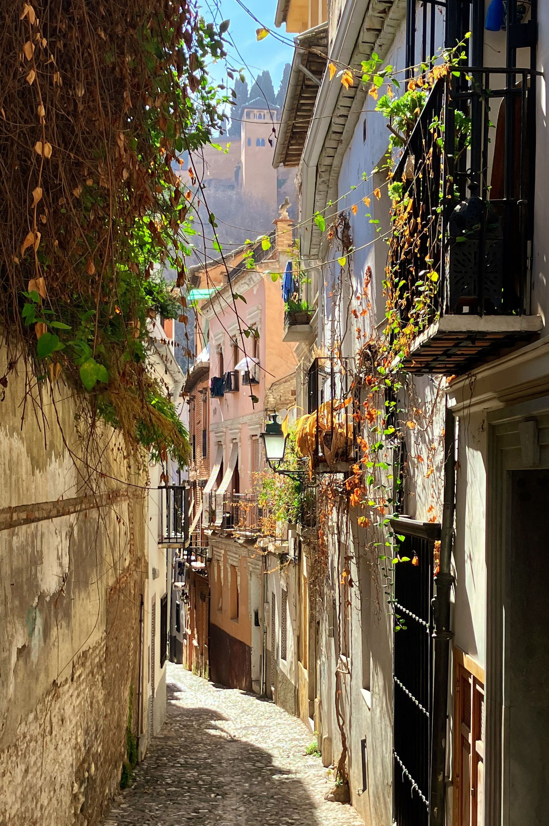 Un estrecho callejón soleado con edificios blancos, plantas colgantes y la torre de una iglesia a lo lejos bajo el cielo azul.