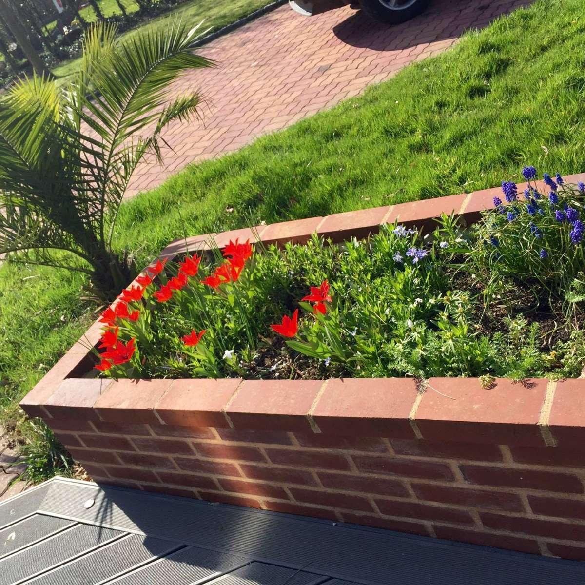 Maçonnerie d'une Jardinère
