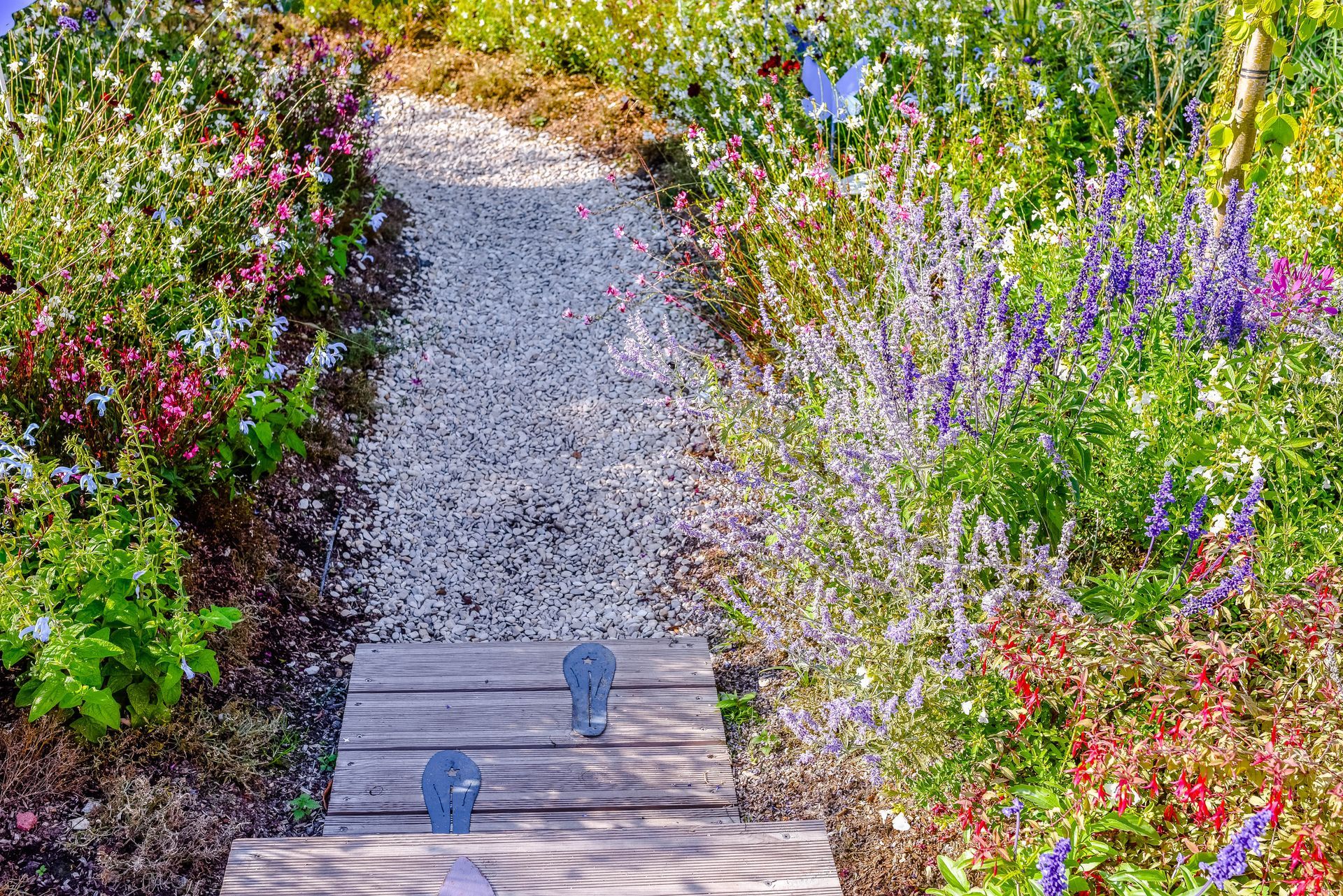 Chemin de gravier dans un jardin coloré, des marches en bois mènent vers un parterre de fleurs roses, violettes et blanches.