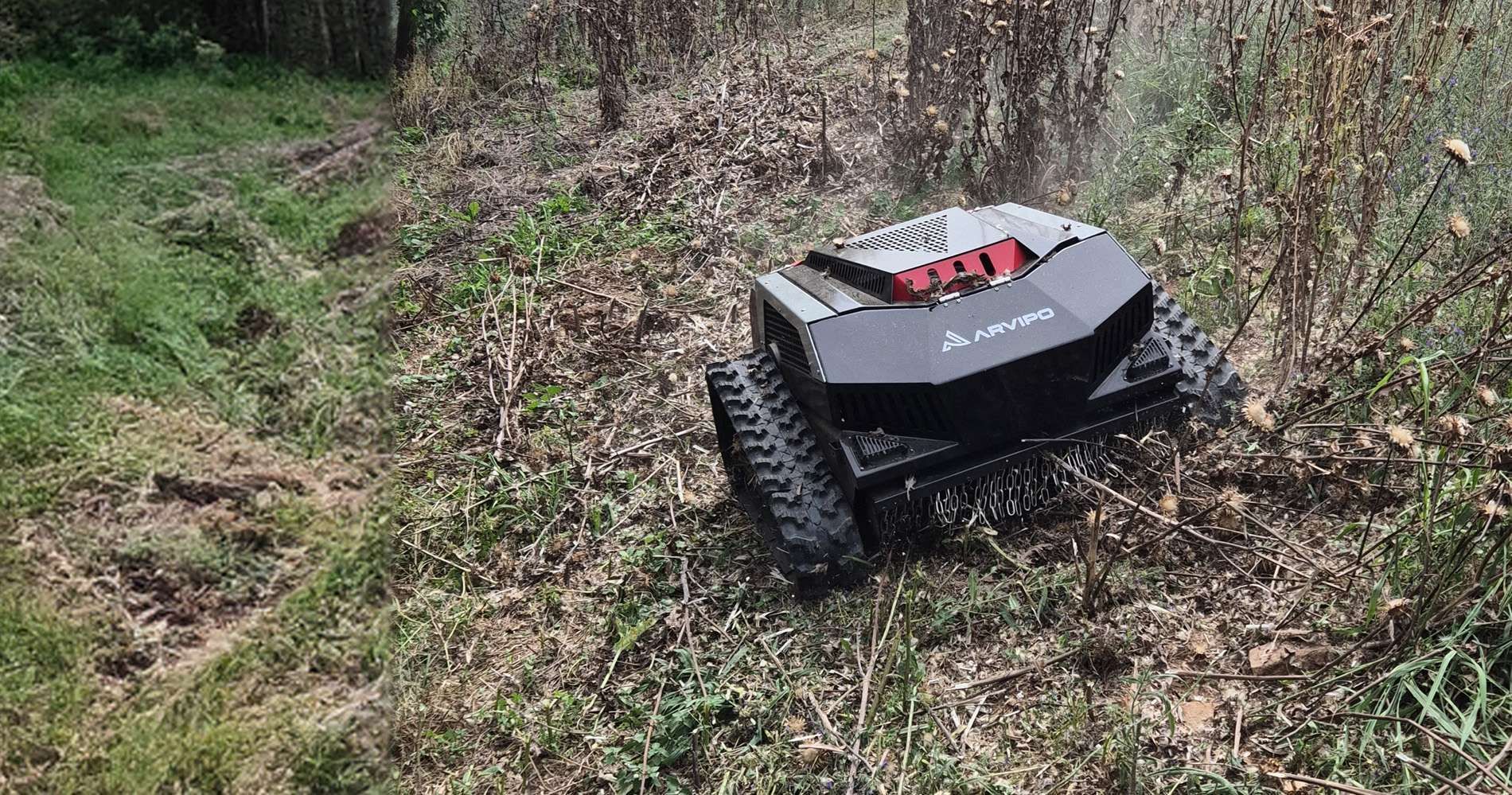 Robot à chenilles tondant l'herbe dans un sous bois.