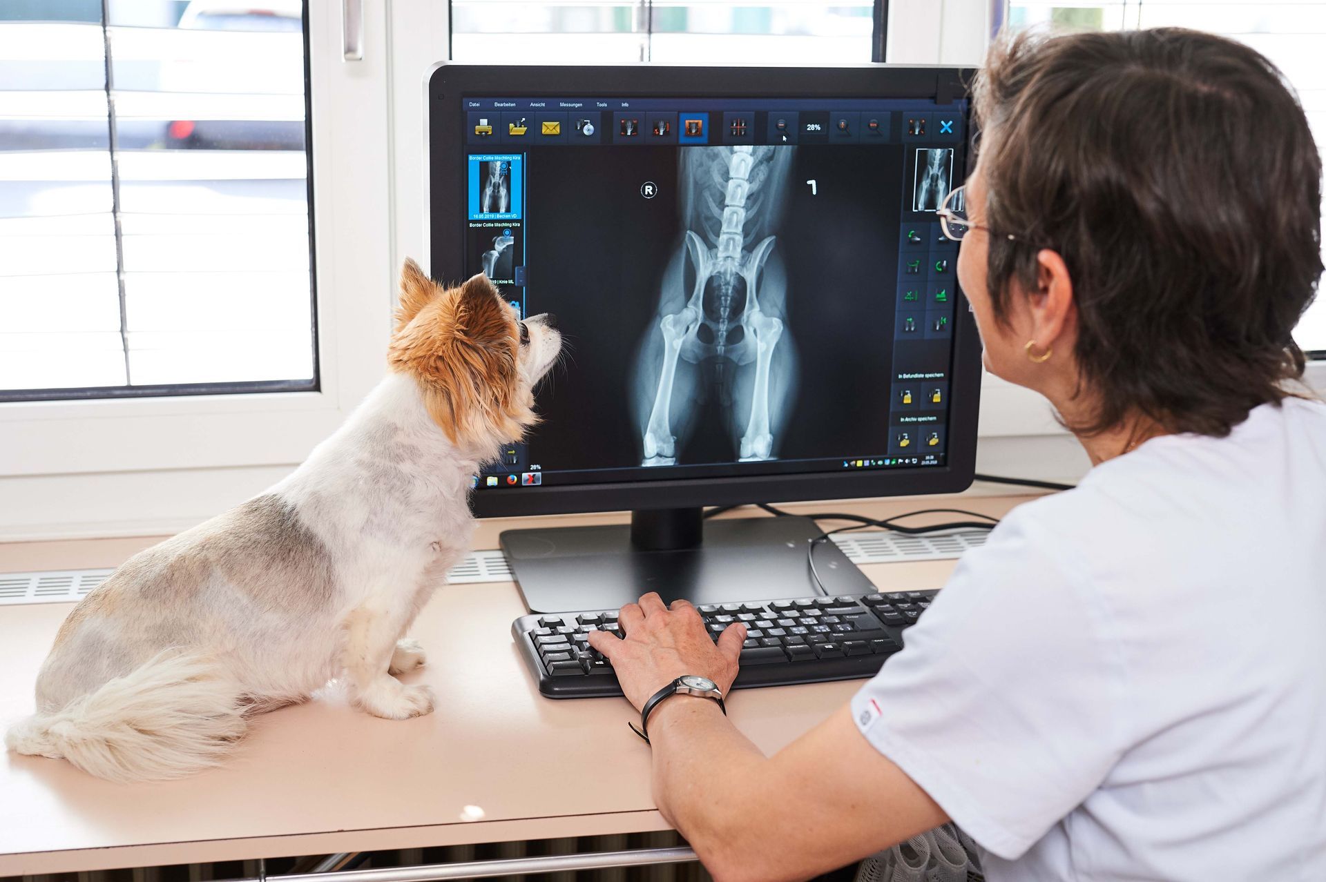 Digitales Röntgen - Kleintierpraxis Dr. med. vet. Alexandra Dittus - Winterthur
