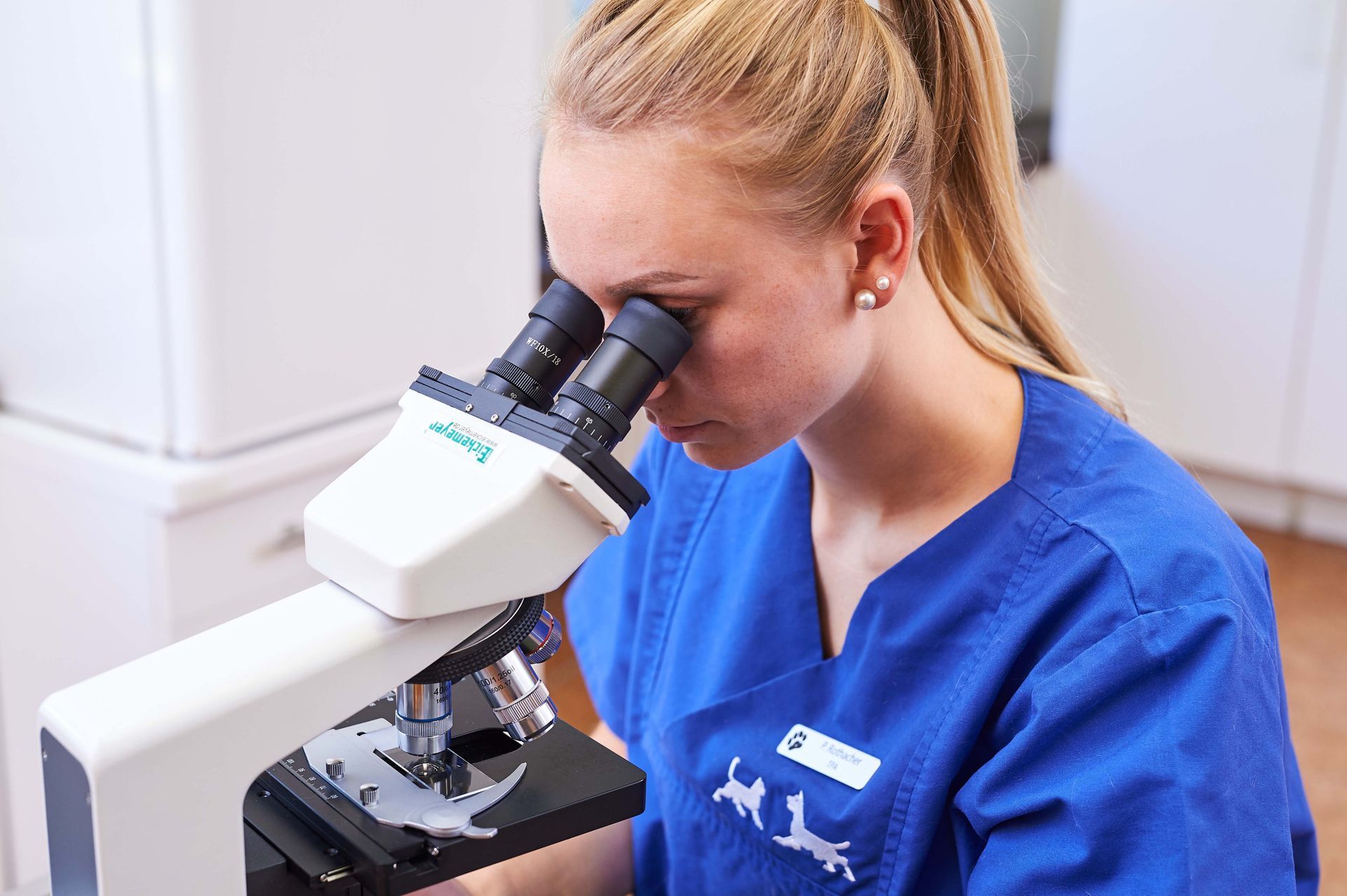Labor Mikroskopie - Kleintierpraxis Dr. med. vet. Alexandra Dittus - Winterthur