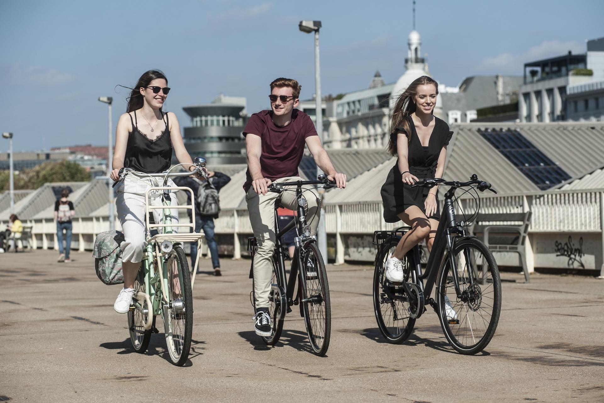 contact fietsen de vogelaere maldegem