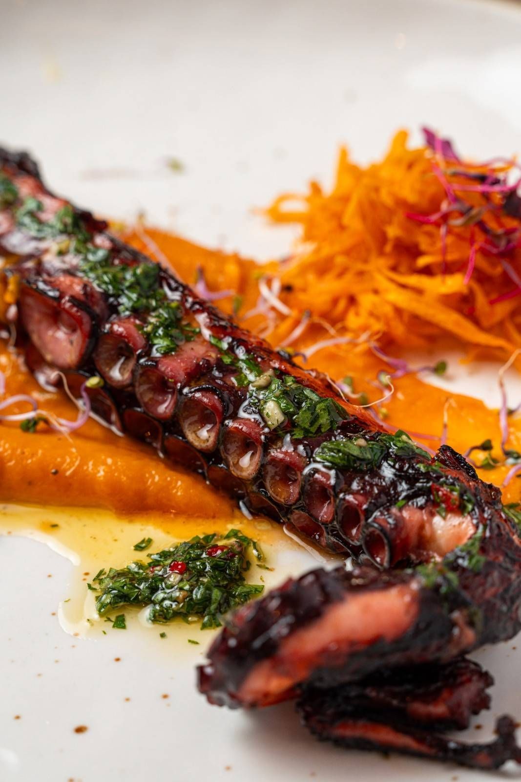 Tentáculo de pulpo a la parrilla con salsa verde y guarnición de naranja rallada en un plato blanco.
