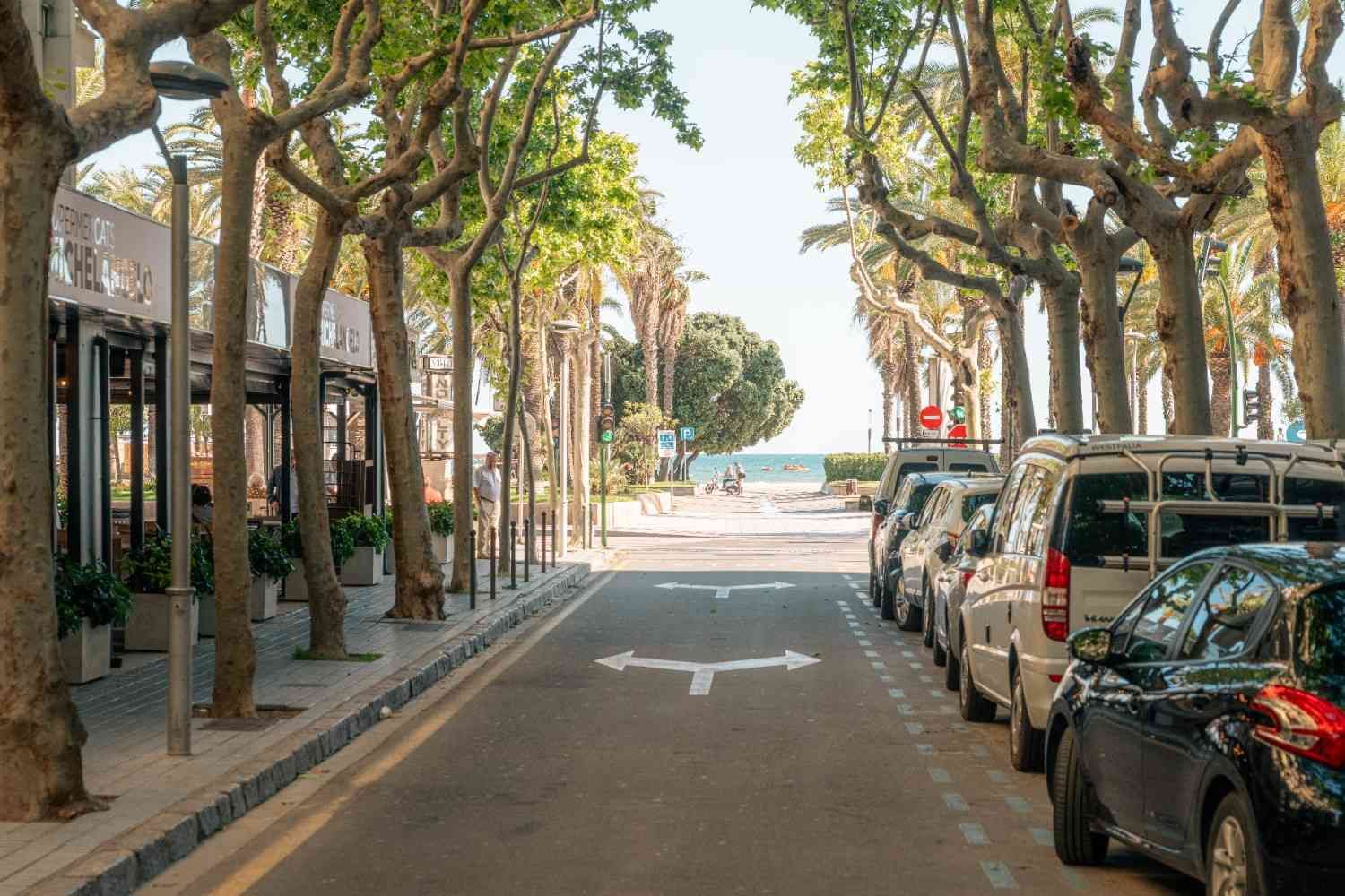 Calle arbolada con coches aparcados que conduce a una playa luminosa.
