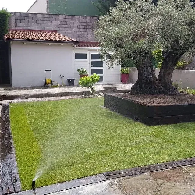 Un aspersor está rociando agua sobre un exuberante césped verde en un patio trasero.